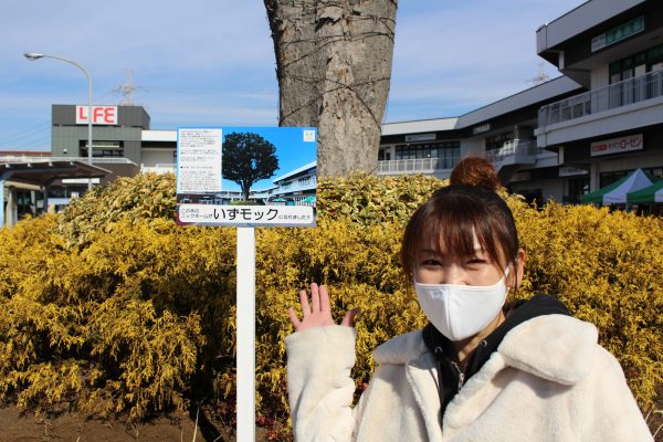 相鉄ライフいずみ野前広場にて 『あの木』に名前を付けよう～ネーミング企画～の看板を設置しました