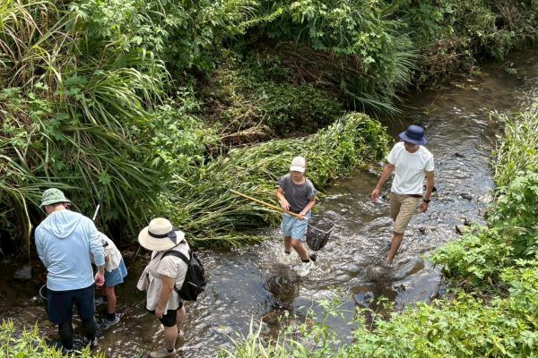 【地域交流イベント】2025年9月6日(土)　和泉川 三ツ境・二つ橋水辺公園で生き物観察[相鉄線沿線「学びクラブ」]
