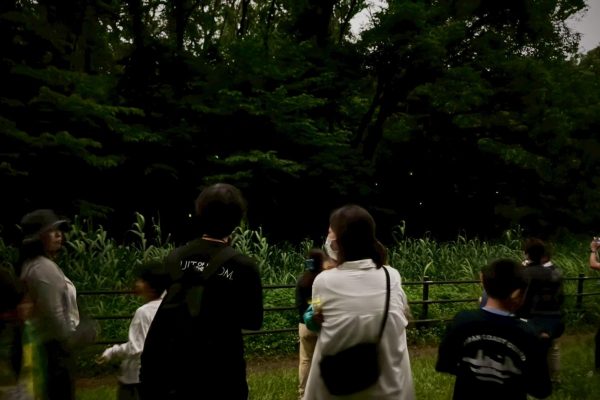 【地域交流イベント】2025年6月7日(土)　親子でホタル鑑賞会～横浜に自生するホタルを鑑賞しよう！～[相鉄線沿線「学びクラブ」]