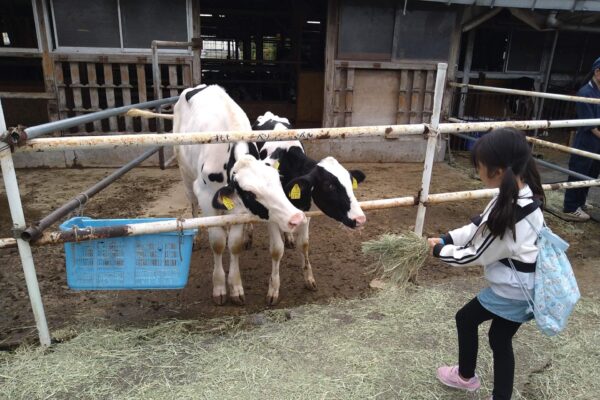 【地域交流イベント】2025年11月1日(土)　酪農体験　[相鉄線沿線「学びクラブ」]