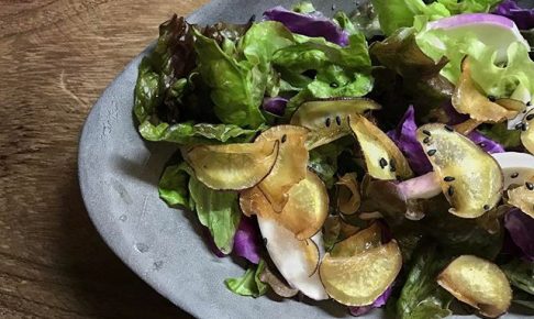 相鉄いずみ野線の野菜を使ったサツマイモチップスのサラダ