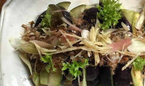 相鉄線いずみ野線の野菜を使ったナスの浅漬けサラダ